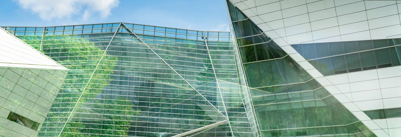Stockfotografie Umweltfreundliches Bauen in der modernen Stadt. Nachhaltiges Bürogebäude aus Glas mit Baum zur Reduzierung von Wärme und Kohlendioxid. Bürogebäude mit grüner Umgebung. Unternehmensgebäude reduzieren CO2.